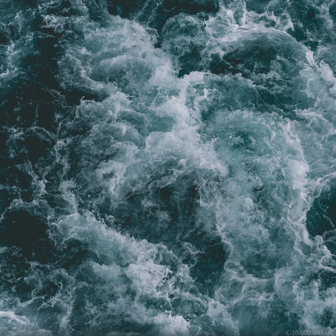 purplelotusca's tweet photo. The secret to happiness? Flowing, not forcing.

#PurpleLotus #GoWithTheFlow #OceanFlow https://t.co/9r72Gj4deW