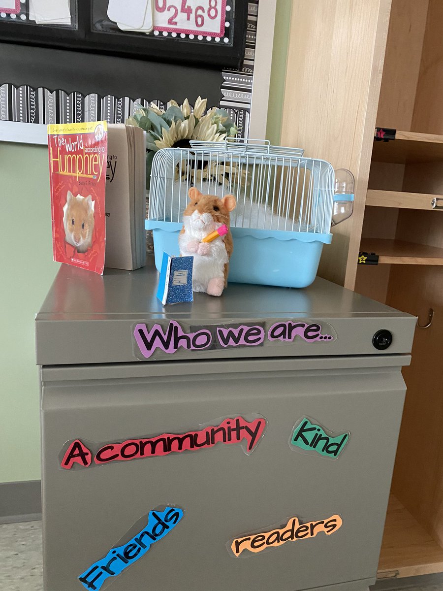 The highlight of my day online teaching... end of the day, we read Humphrey, students get into a cozy place and listen. Today quite a few had younger siblings join them. Warmed my heart💜