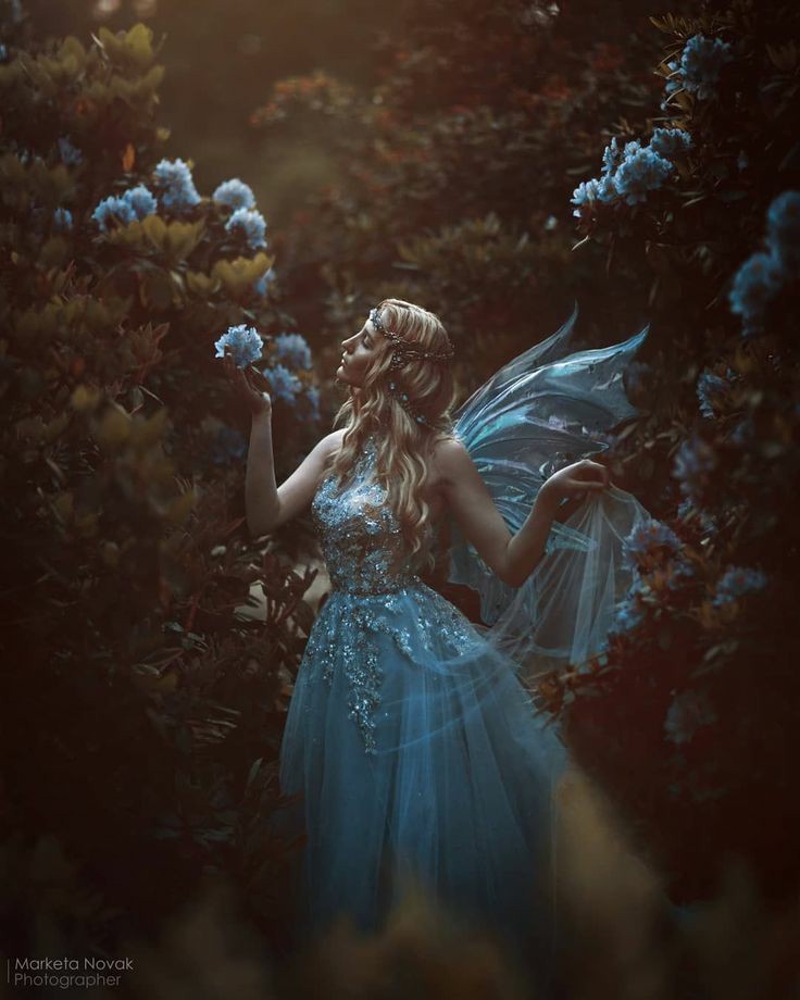 лес феи эстетика. фотограф агнешка agnieszka lorek. фея фото. фея эстетика. фотосессия фея.