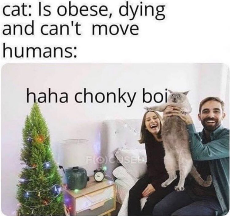 Mestavou tweet media