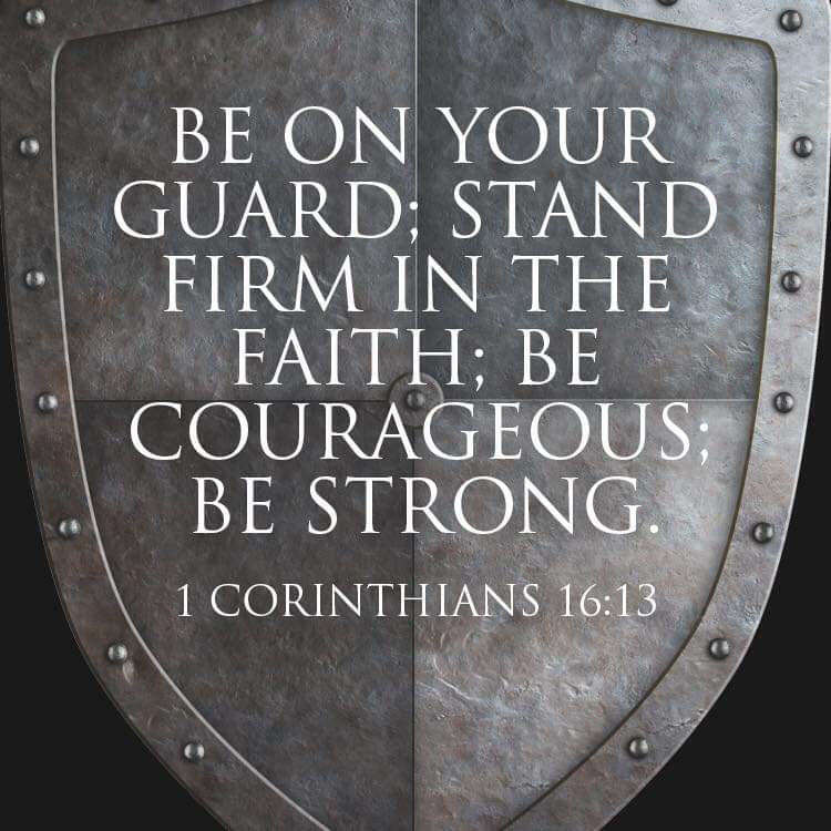 Walk in the strength and power of the Spirit. Be bold and fear no one but God. The enemy has already been given into your hands, if you stand firm in the faith. #strongandcourageous #boldfaith #standfirm