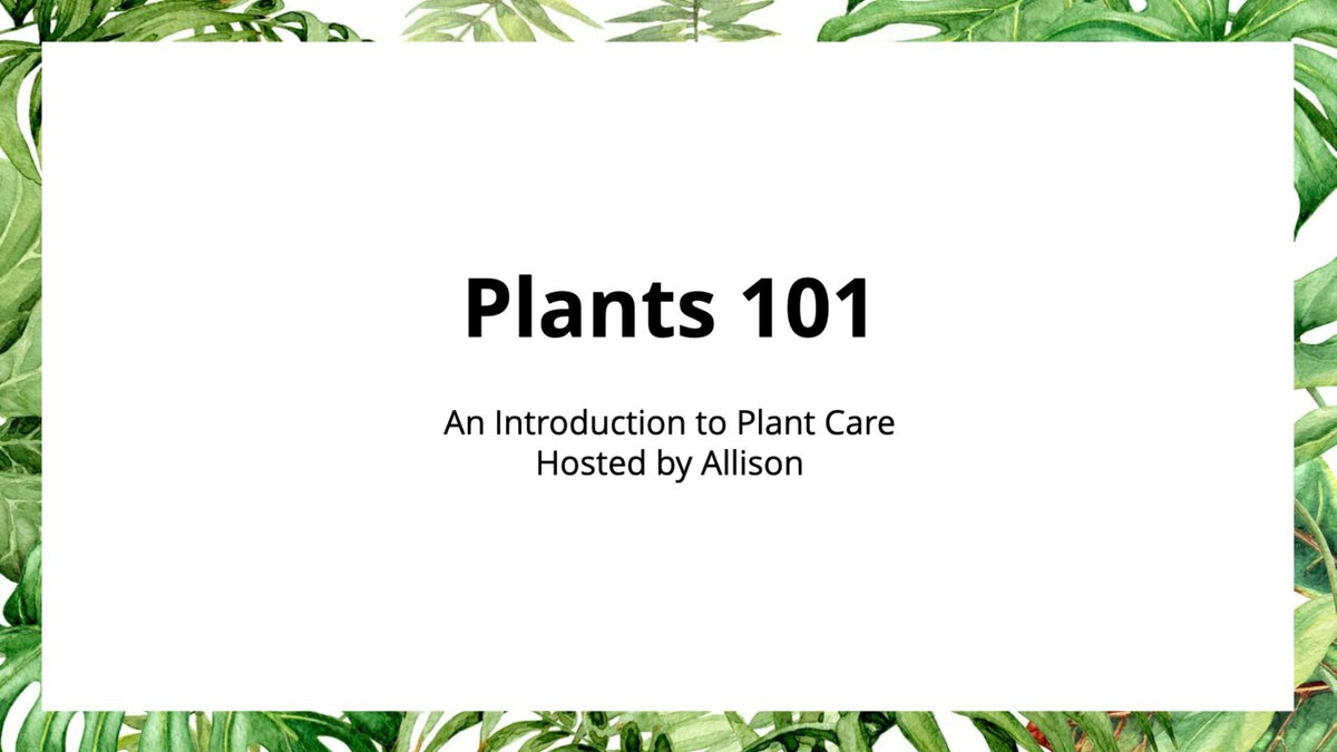 Alright friends, we'll go ahead and get started now! Today's thread will cover an introduction to plant care: prerequisites in getting into plants, some recommended beginner plants, and how to keep them alive and make them thrive! 1/ #NationalIndoor