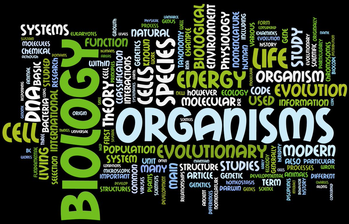 Onlinewriters01's tweet image. #biologyassignmenthelp #biologyexperttutors #onlinebiology #biologyhomework
#Biology 
We at assignment help provides students all the required materials from several sources and help them make a single, accurate and correct conclusion out of them.

email-stacyhillson96@gmail.com