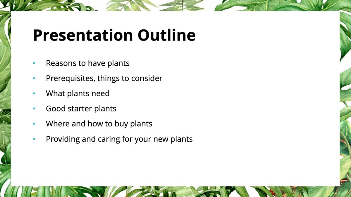 So to start, I do not have any professional credentials, but have been able to have some plants thrive with my care indoors. These are just general guidelines and my own recommendations! And if you want a good idea of everything that we'll cover, take a look at the Outline