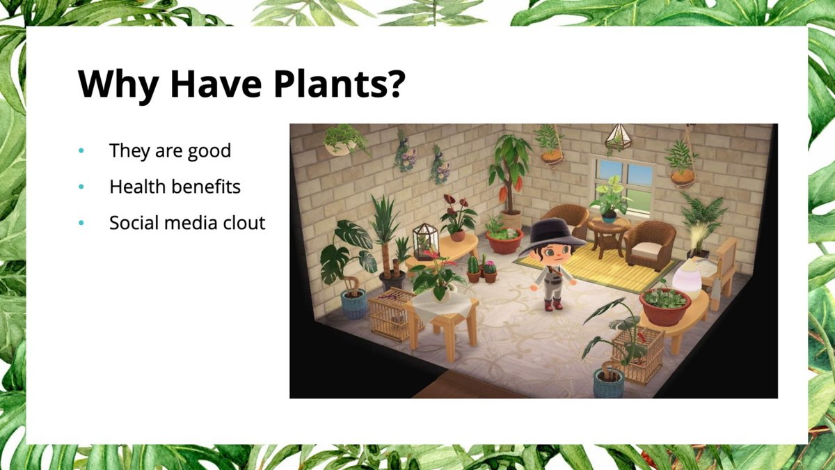 If you need any convincing on why you should add plants in your life, this is for you! Plants can help regulate humidity and air quality, while reducing stress, leading to a healthier lifestyle!Of course if you were already interested in plants... let's continue 3/