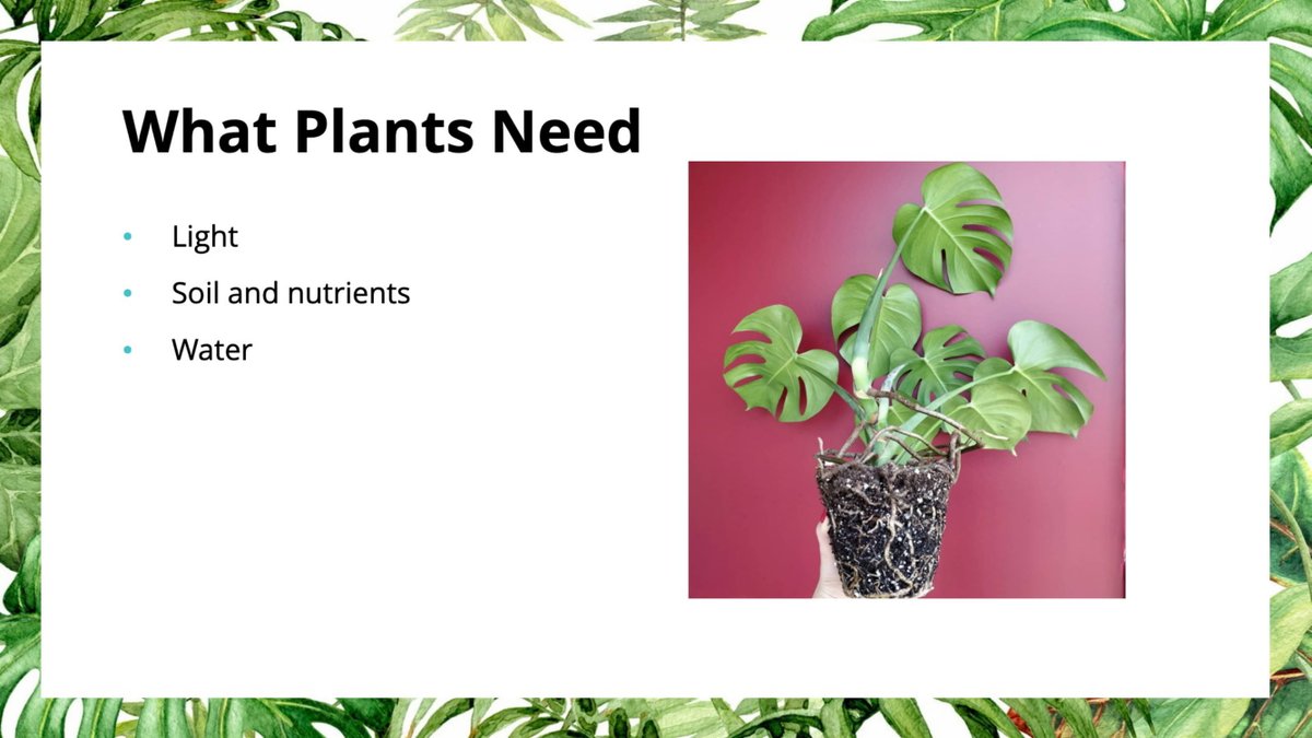 Now that we have a good idea of what we need prior to getting started, let's get started on getting started.The 3 basic things plants need are going to be:LightSoil & nutrientsWaterI'll discuss light, soil, and nutrients right now, and water will be discussed later 8/