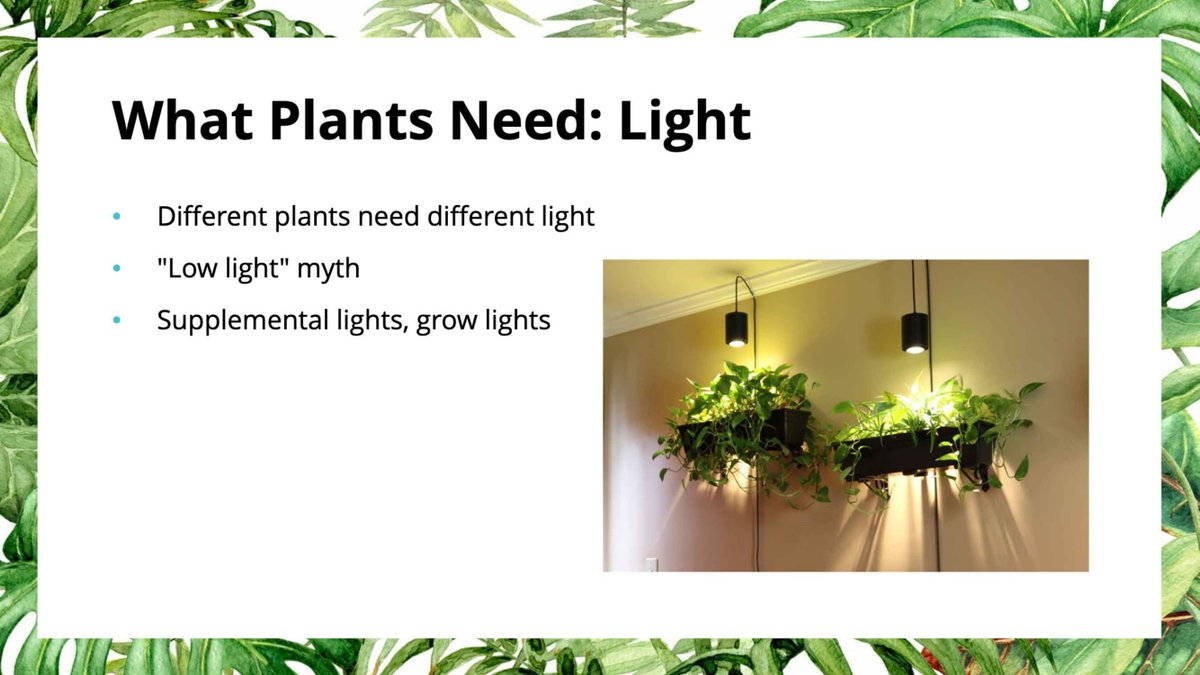 Plants produce their energy from light, so it is a definite must! Different plants require different amounts of light; eg. a vine that is native to forest floors will require a much lower amount of light than a succulent that is native to shadless deserts 9/