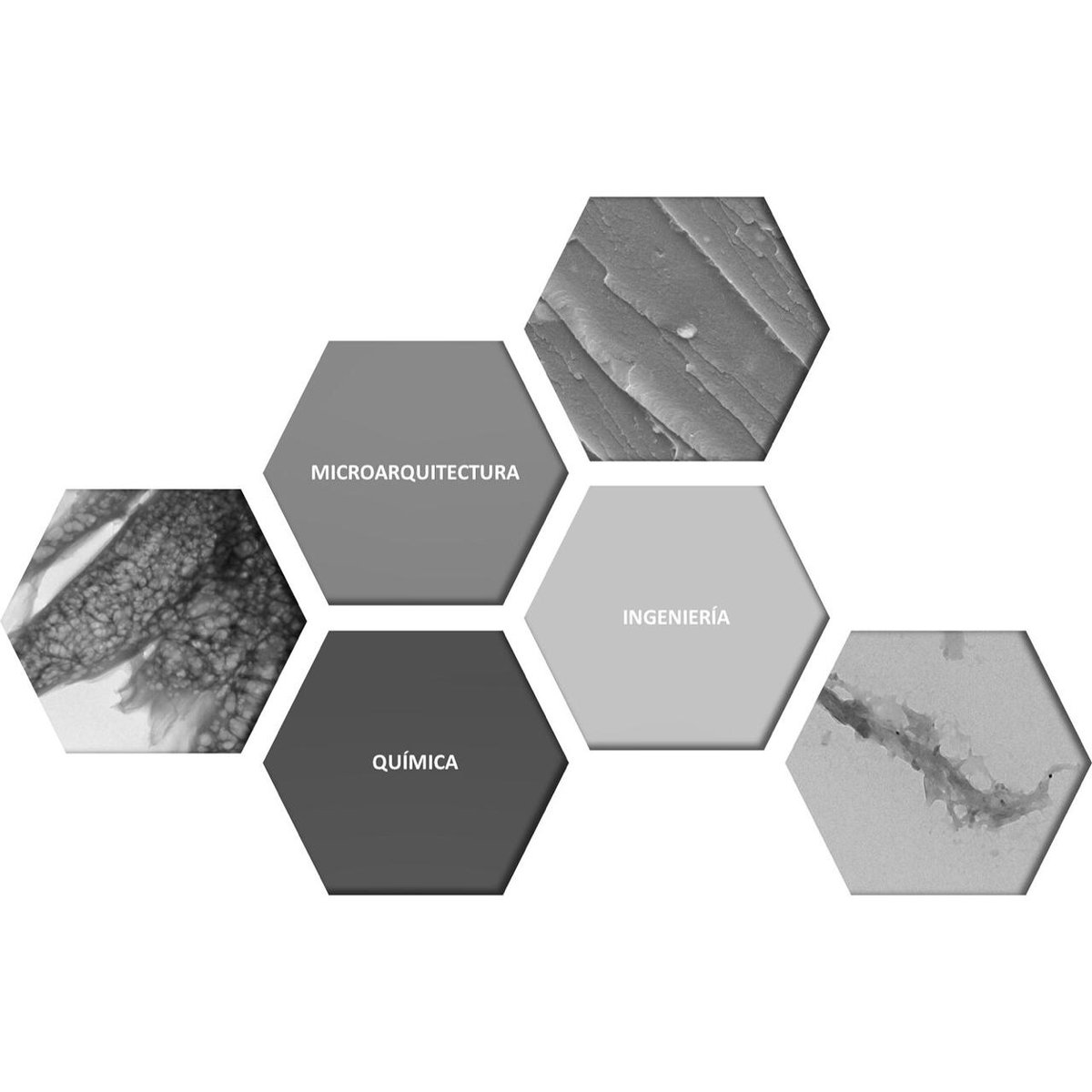 Bmorph_CL's tweet photo. La interdisciplinariedad es clave para desarrollar Productos Sustentables e Innovadores desde la Perspectiva de la Ciencia de los Materiales.
En B-MORPH lo hacemos realidad.
.
.
#palmetainteligente #smarttile #buildsustainablebuilding #teamwork #bmorph https://t.co/7A6LAqZVZv