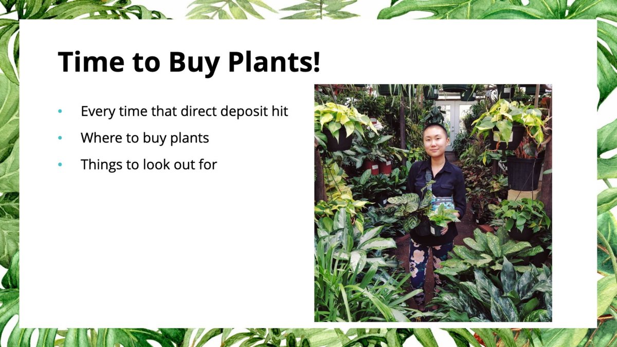 Ok so now we've identified what we have to do and even have some good plants for adopting. It's time to spend some money! 24/