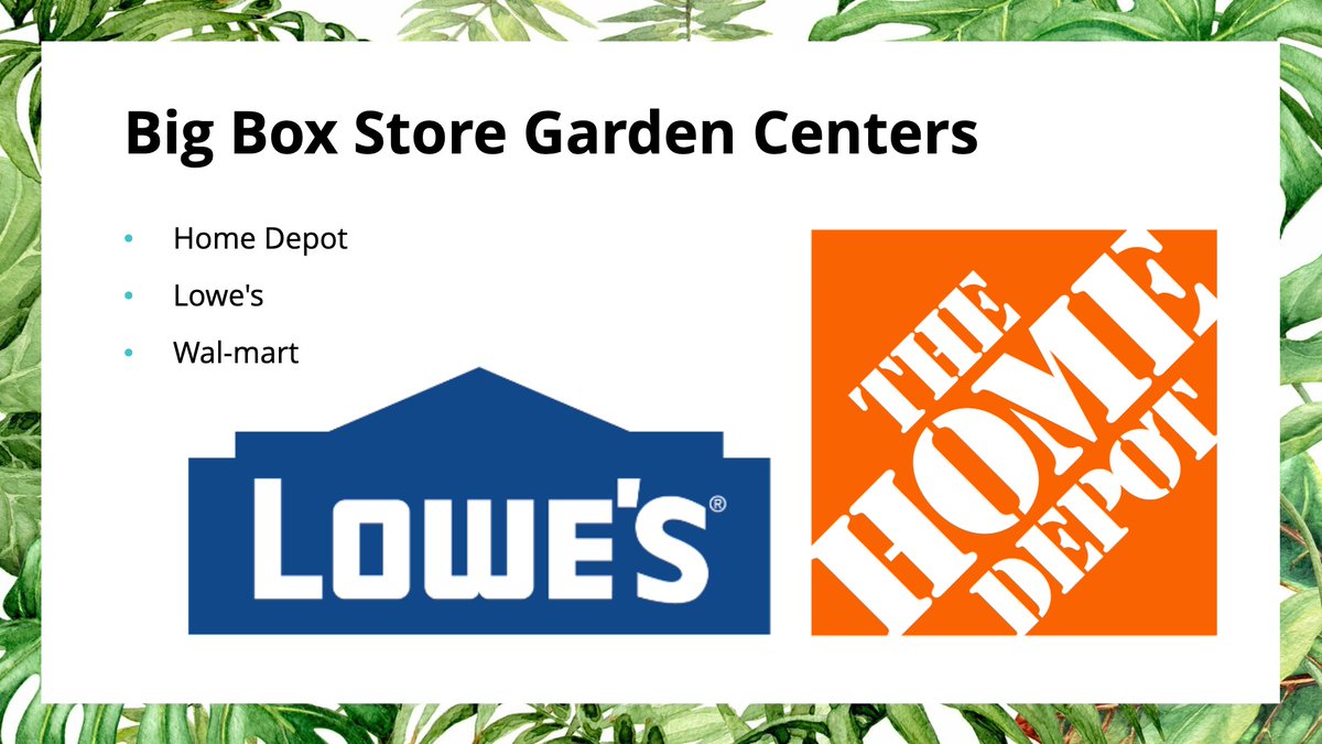 Of course, there are the garden centers at the big box stores, like Home Depot, Lowe's and Walmart. Their prices are low, but as a big corporation they will not put in as much care to make the plants as happy as they can be, so be careful when shopping! 26/