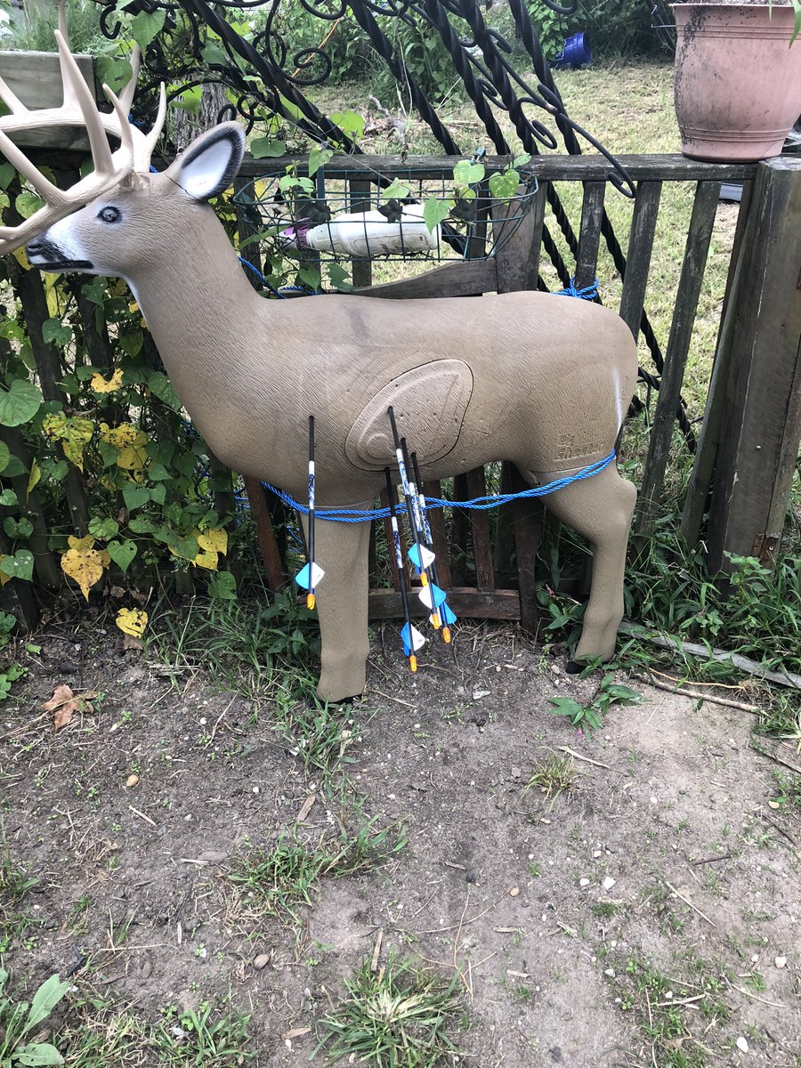 <a href="/JohnHarbst/">HARBST WATERFOWL OUTDOORS & HARBST SIGNATURE CALLS</a> well next weekend goose is out but deer is in got the new <a href="/HOYTARCHERYInc/">HOYT ARCHERY</a> set up and dialed in just a little fine tuning to go first sit with it next Saturday afternoon