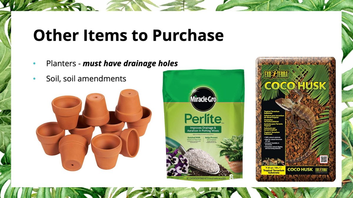 While you're at a big box store or your local plant store, here are some recommended items to pick up:Planters THAT MUST HAVE DRAINAGE HOLES! the number one killer of houseplants is overwatering and/or root rot, which could be remedied by having the pot drain! 31/