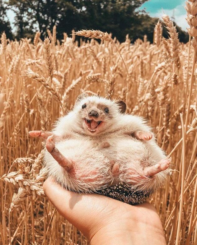 😁