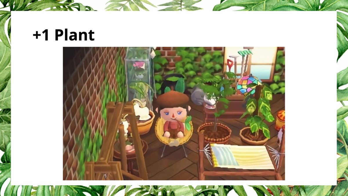 Okay now you have a plant! Congratulations! I'm very proud and happy for you! Let's learn more about how to take care of your new friend :) 33/