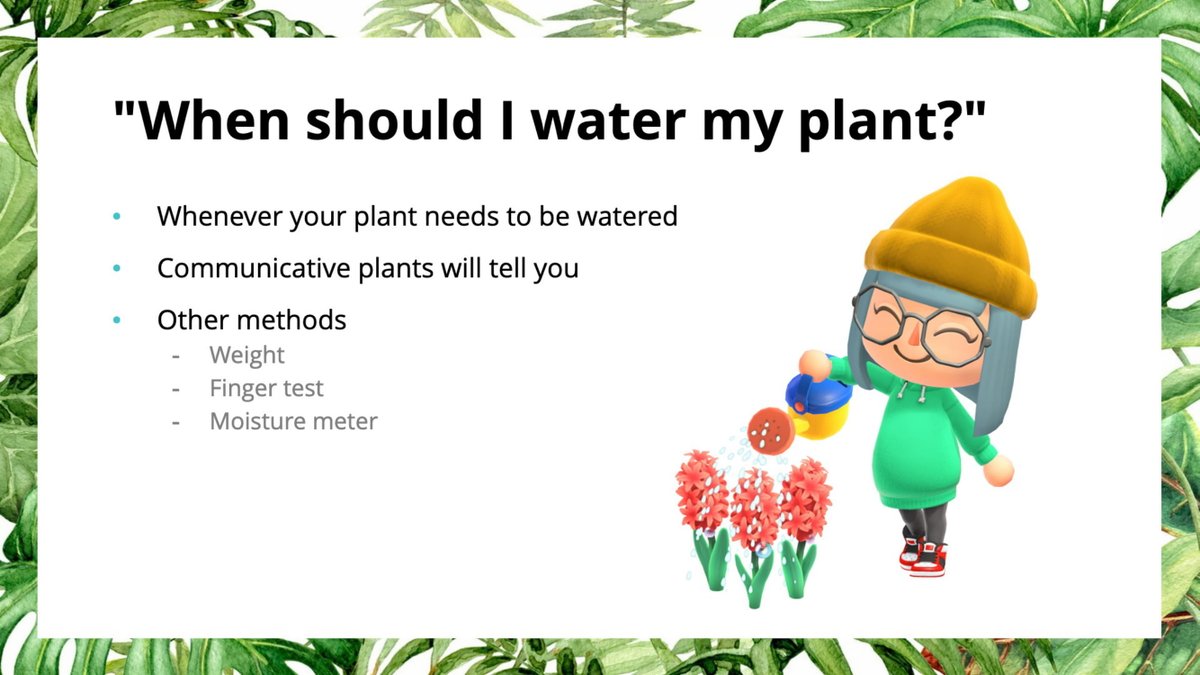 AND FINALLY, we're getting to your burning question, "When should I water my plant?"The answer is: Whenever your plant needs to be watered38/