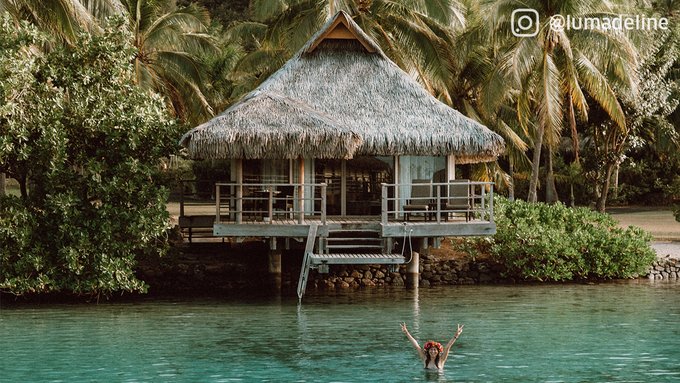 FlightsSmart's tweet image. Social distancing, but make it tropical. HibiscusPalm tree

Fares are on sale for this dream destination, so get ready for a Tahiti stamp in your passport. Book here: uafly.co/TahitiSale