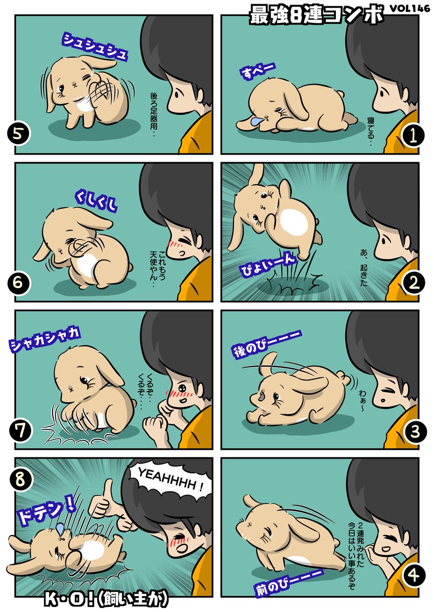どの仕草も捨てがたいですよね #もちゃん漫画 #チモシー教 #うさぎ #うさぎの, image size:850x1200