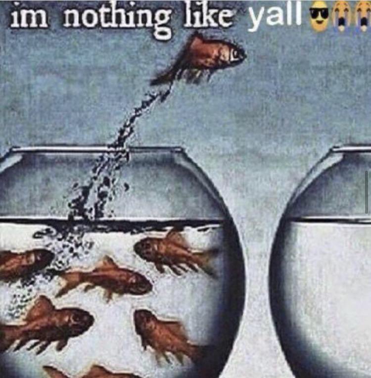 nadia 🐾 (@feralfortune) on Twitter photo 