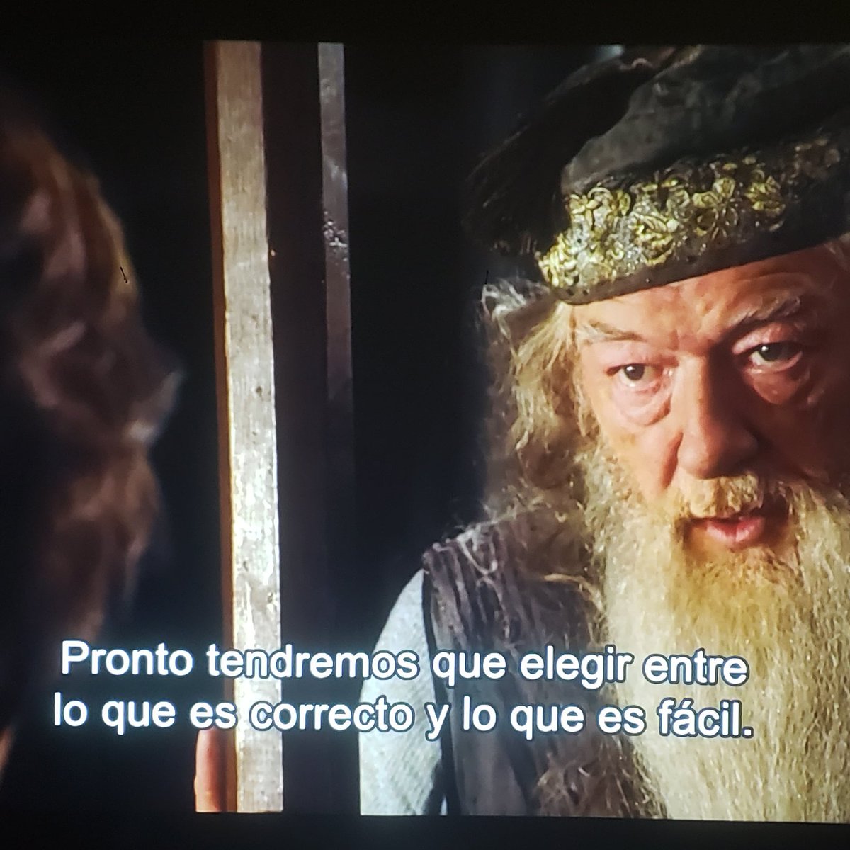 LMiedziak's tweet photo. Maratón familiar de #HarryPotter y la sabiduría del Profesor Dumbledore: "Pronto tendremos que elegir entre lo que es CORRECTO y lo que es FACIL".
Chau... hasta mañana... https://t.co/Nzq992iawT