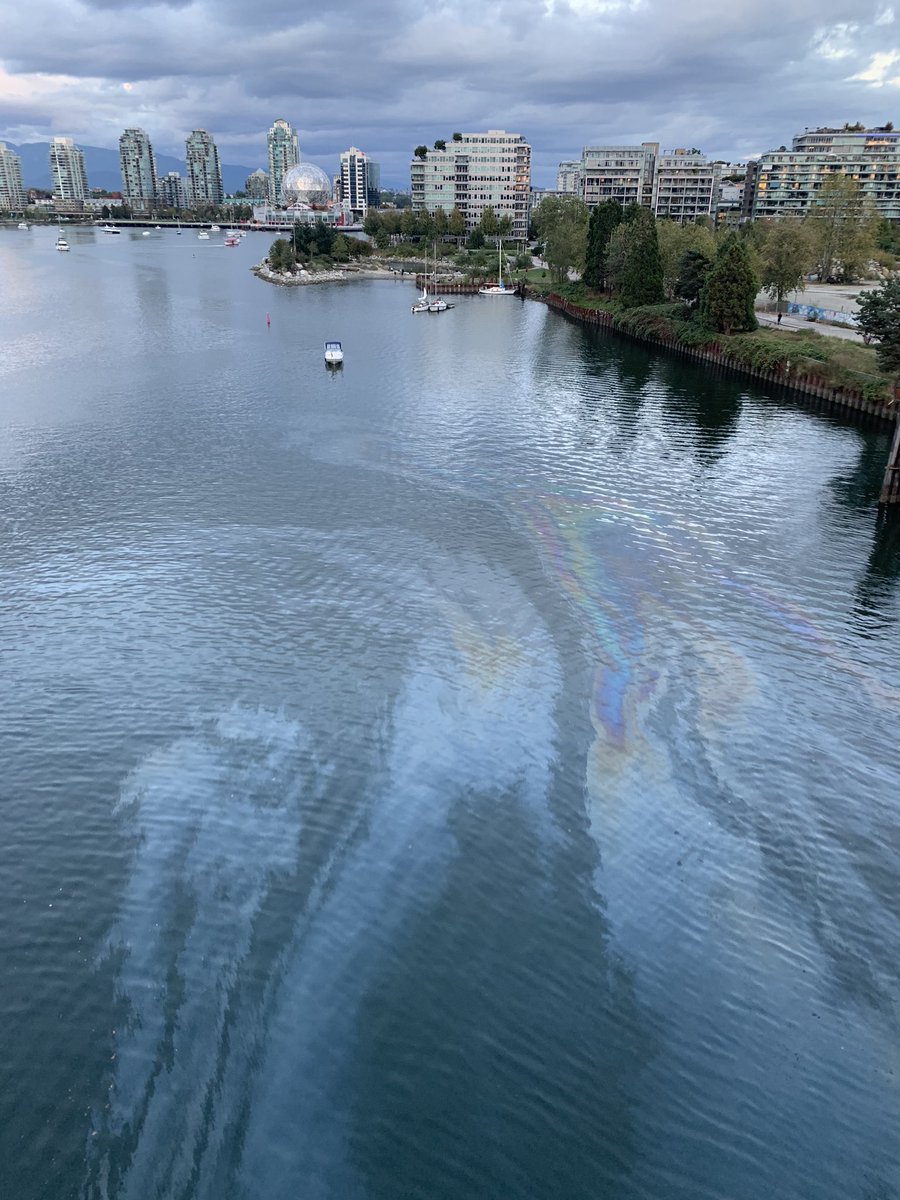 BREAKING: expanding oil spill in false creek, Vancouver. #vancouver #scienceworld #oilspill