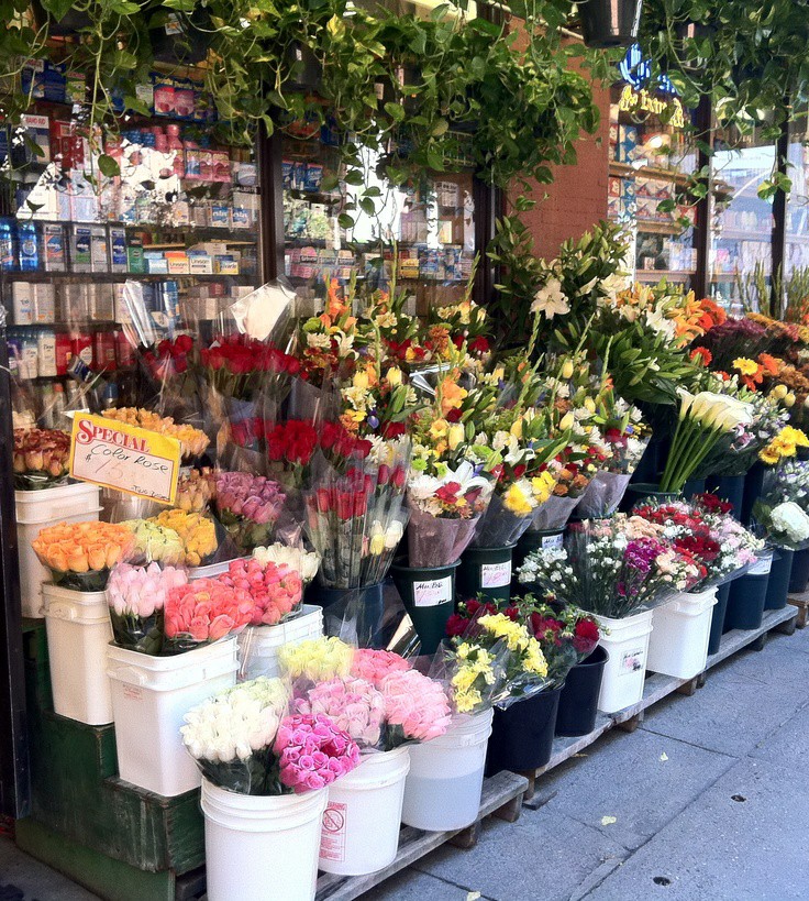 Цветочный магазин экзотические цветы. Цветочный рынок. Цветочный магазин. Цветочный магазин в Америке. Цветочные лавки в Америке.