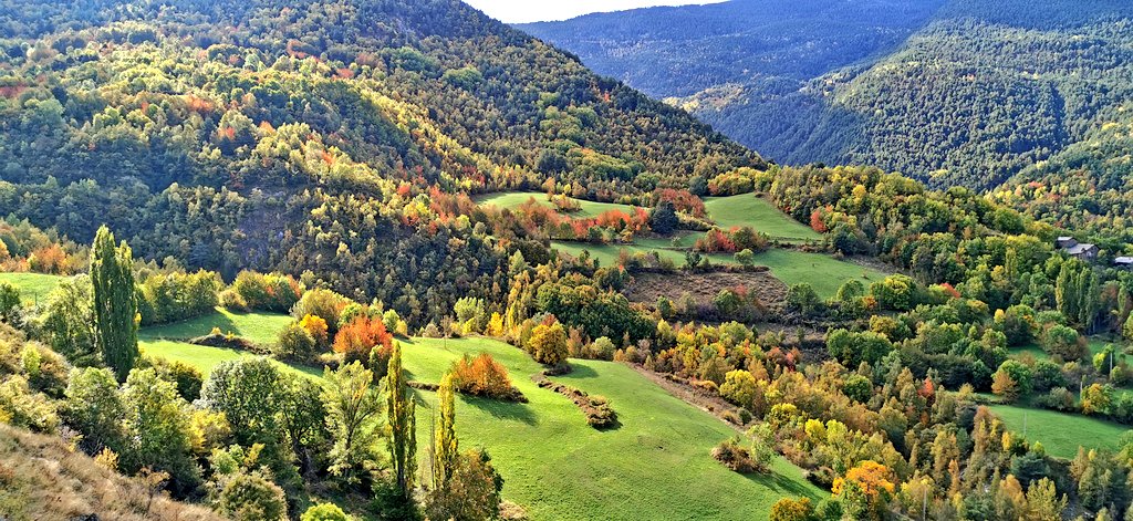 pnaltpirineu's tweet photo. Ja tenim els #colorsdetardor 🍁🍂 en ple desenvolupament al #PNAltPirineu. Moments idonis per gaudir d'un dels fenòmens naturals més espectaculars. Us animem a obtenir un bon record fotogràfic 📷 i participar al concurs 🙋🏻‍♀️ Instagram #colorsdetardorPNAP2020 https://t.co/CXWzwTX7lV https://t.co/33MbXQxMRd