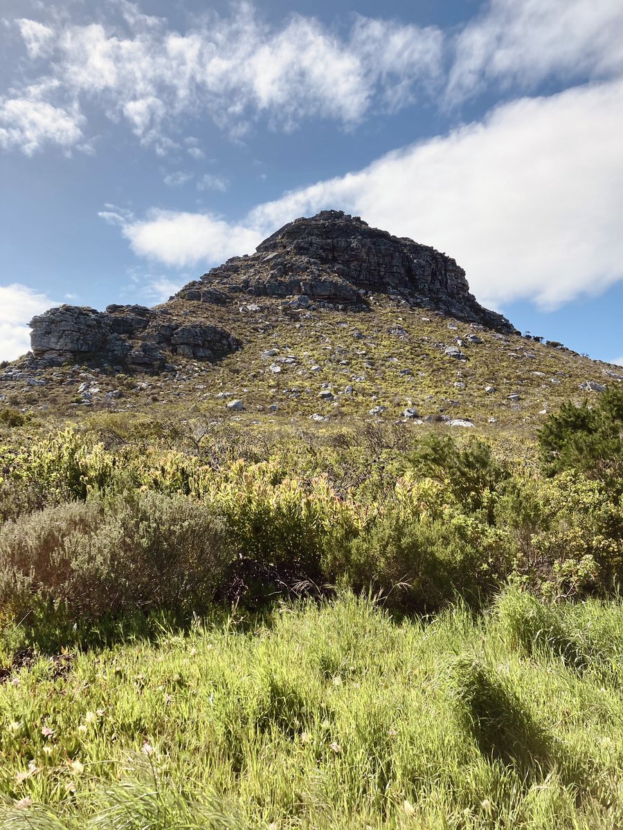 AakifahCarelse's tweet photo. Silvermine Hike 🔥 https://t.co/zGURkSWGeg