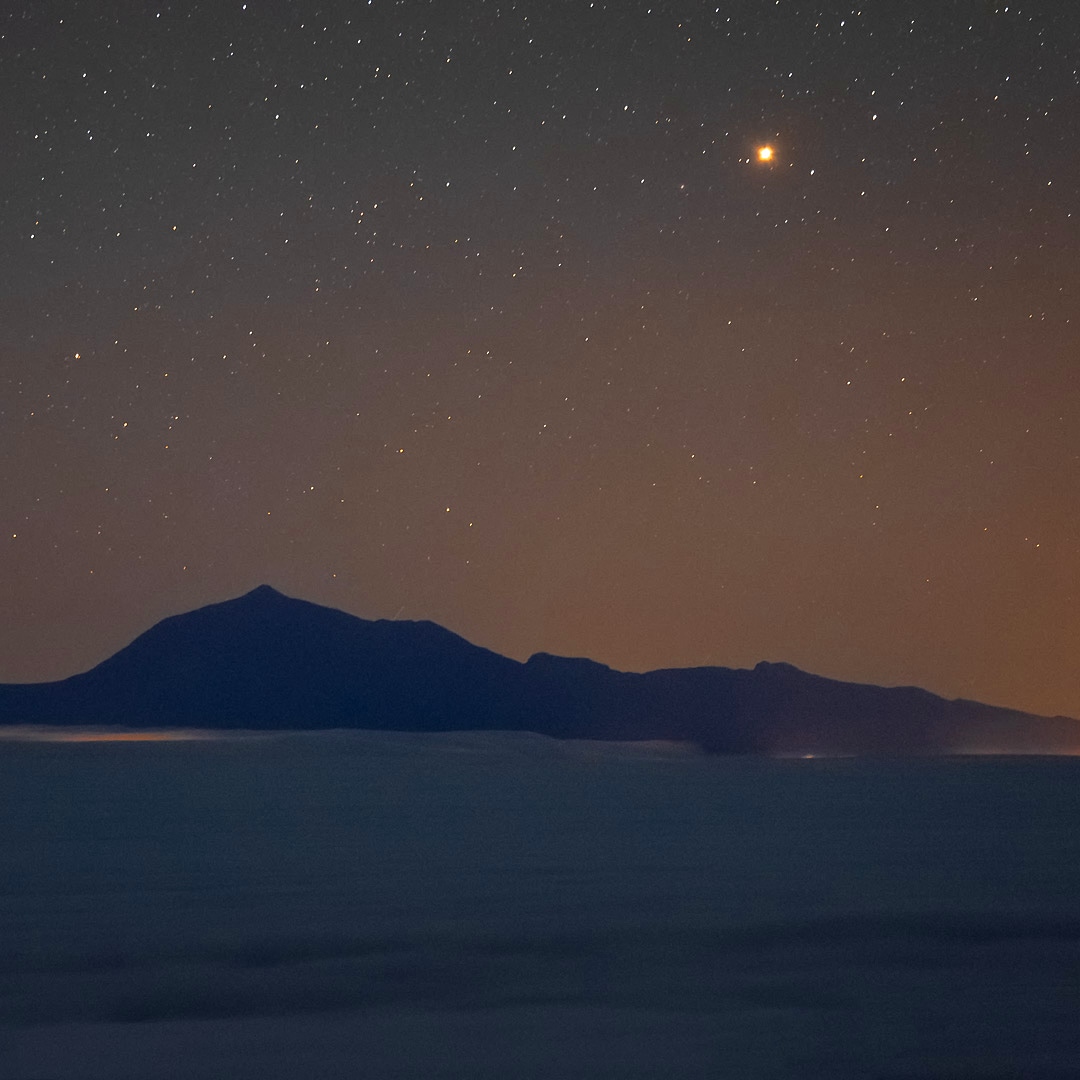 Alyn Wallace 🌌 tweet media