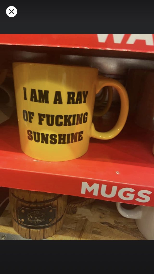 avafleming's tweet image. 