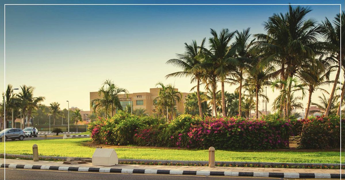 kauedu_sa's tweet photo. #جامعة_الملك_عبدالعزيز أولت إهتماماً بالبيئة الخضراء وزيادة المسطحات من خلال التشجير والانتاج  وتنسيق الحدائق وخلق بيئة تعليمية جاذبه ومستدامة وقد أهلها هذا الحصول على مركز متقدم عالمياً ضمن تصنيف ( GREEN METRIC )   #لنجعلها_خضراء 
@mohe_sa @MEWA_KSA https://t.co/BvBEnzz7Vb