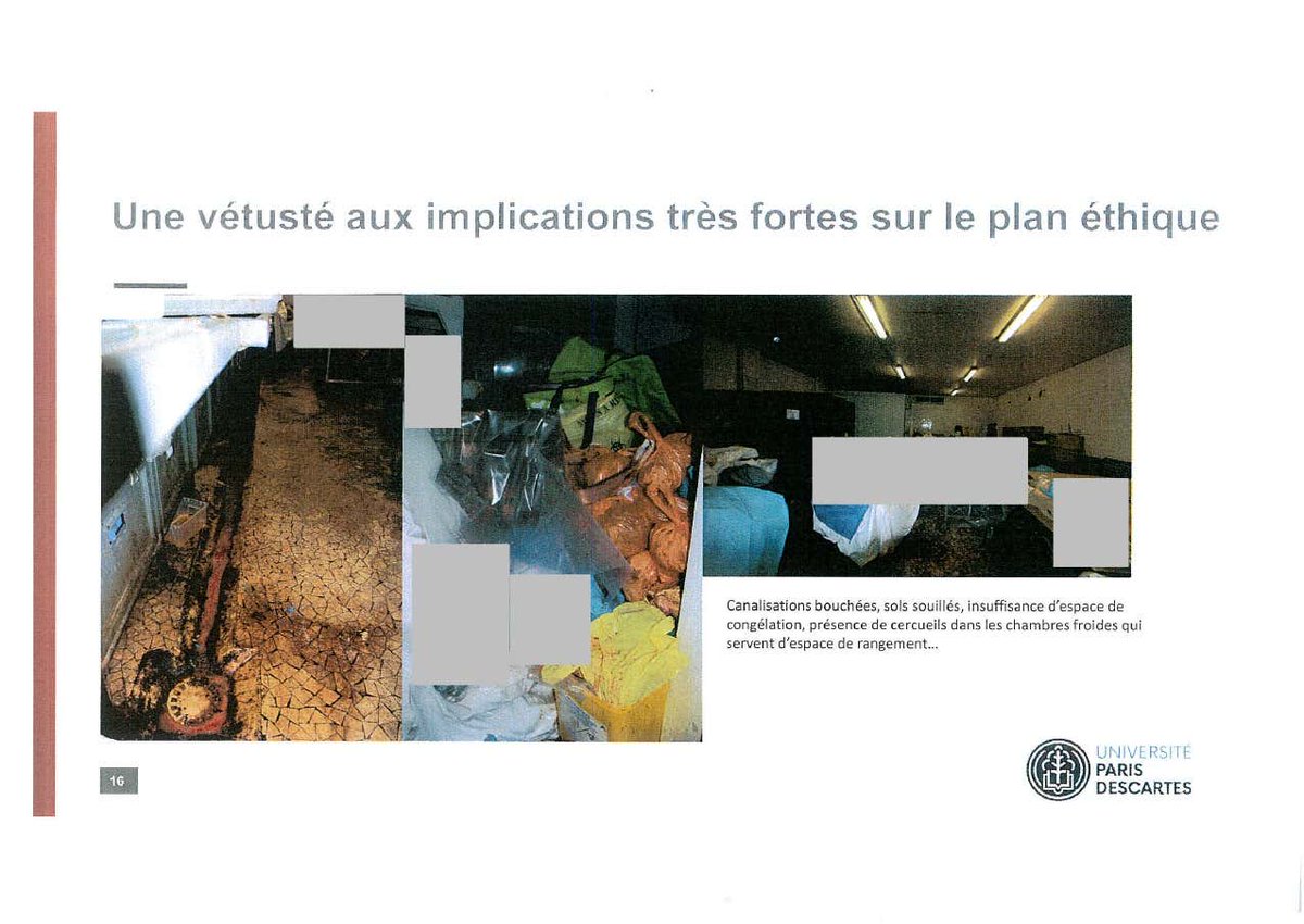 faisant monter la température de 10° au delà des 4° maximum requis ! Au sein des chambres froides, des mouches par centaines allaient et venaient puis prenaient du temps pour pondre leurs œufs sur ou dans les cadavres provoquant une prolifération de vers ! Aucun des espaces de