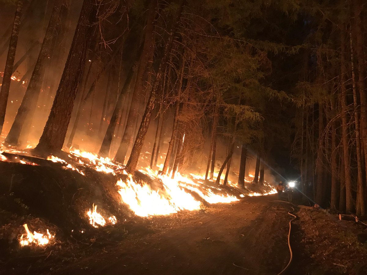 #NationalFireNews: Firefighters continue to work on 73 large fires that have burned 4.3m ac. 2 new large fires were reported yesterday, 1 in ID, 1 in MT. Firefighters contained the 4W Fire in WY, the Hwy 28 Fire in MT and the Wedge Butte Fire in ID. #FireYear2020
📸USFS/InciWeb