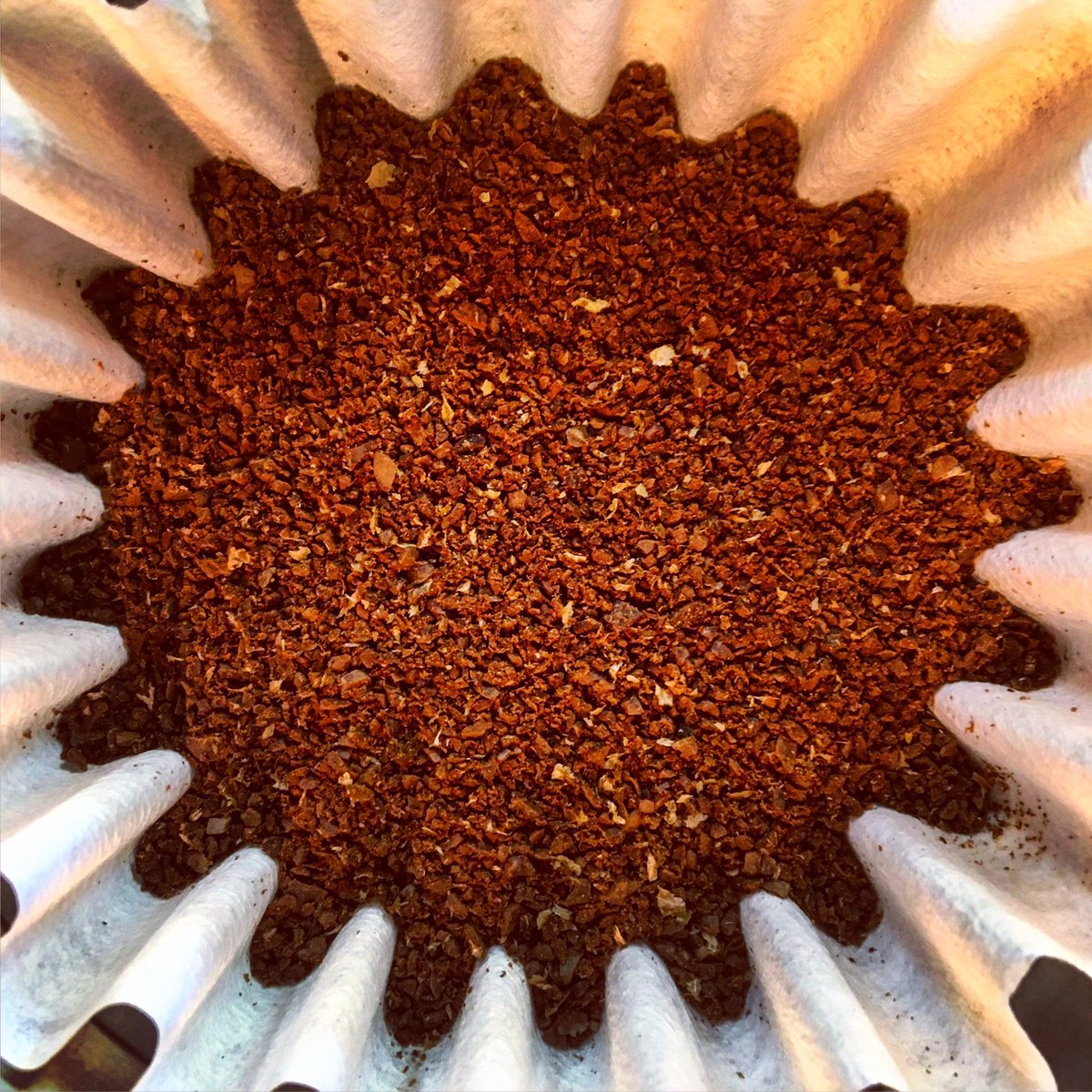 manumitcoffee's tweet photo. Cheeky Kalita on a Saturday! How do you guys brew? #coffee #freedomthroughcoffee #slaveryfreecoffee #manumit https://t.co/eyErtuTbBL