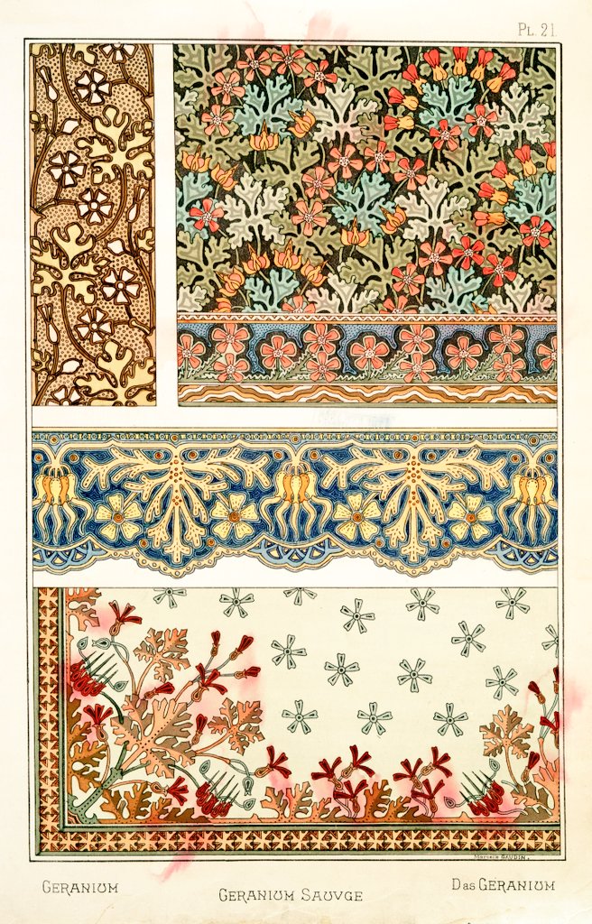 7/ Art Nouveau flower and plant designs from 1896."Geranium". Image 1 and 2 by J. Milesi. Image 3 by Marcelle Gaudin.
