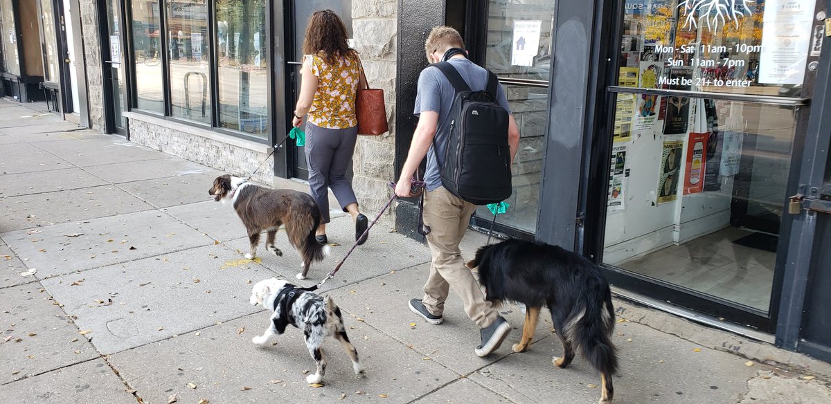 AlcottTodd's tweet photo. Happy spectacular Saturday BG! 24 days until the election, or you can vote live at the SKyPAC starting Tuesday. Took a day away from politics with Jake our son in Chicago...&amp; Waylon, Willie, and Qwerty... Jake's pup in the middle. Rembering what is important.  Stay resilient BG! https://t.co/ZKQzqgyrCK