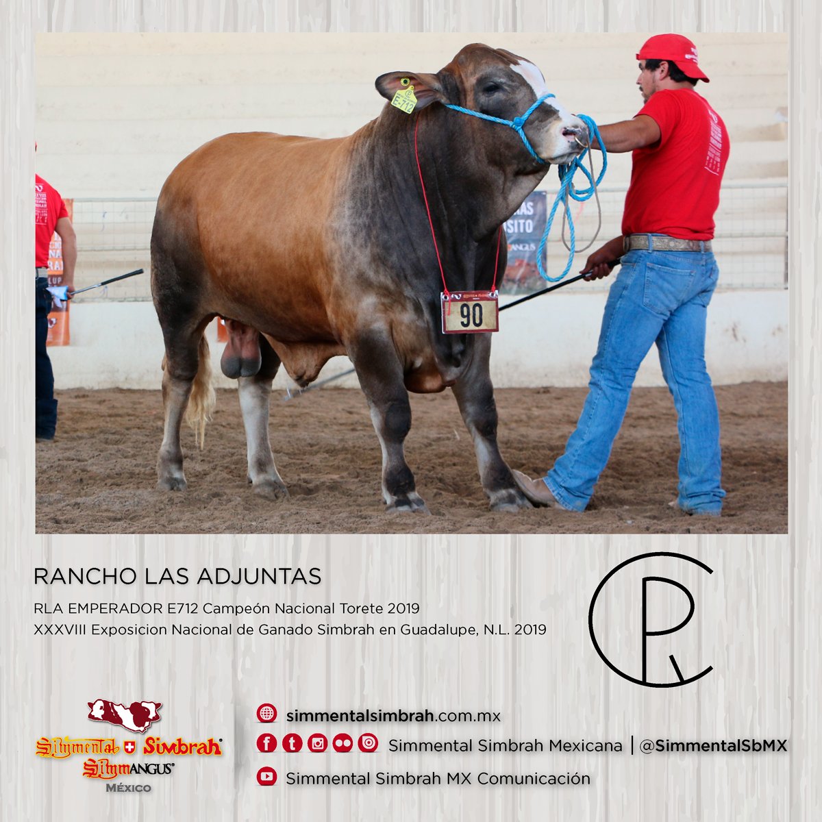 SimmentalSbMX's tweet photo. Domingo de #OrgulloGanadero con Rancho Las Adjuntas
Venta de sementales y vaquillas Simbrah en General Bravo, Nuevo León
Socio 831
Móvil. 89 9956 5538
r.cardenasgtz@hotmail.com
.
#Simmental #Simbrah #Simmangus #SimmentalSimbrah #SimmentalSimbrahSimmangus https://t.co/ovOVV5tOPU