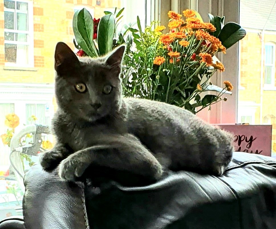 Claire Martin 💙 tweet media