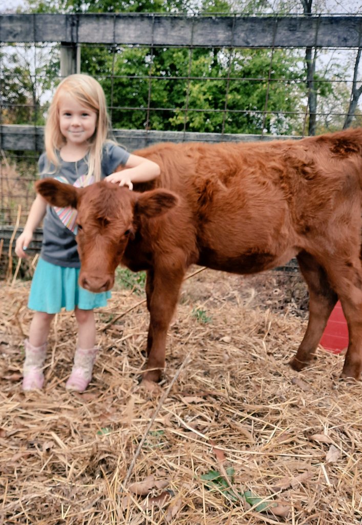 Mschoenmorrison's tweet photo. All a girl needs in life are calves. https://t.co/mHW4Z5lwzo
