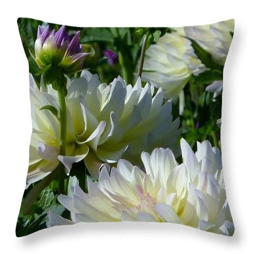 SusanGarren's tweet photo. 🌷Let's go into the #garden And we'll #listen to the #flowers #sing #SarahS
#SusanGarrenPixels 🌷
https://t.co/omukb3CRum #NaturesArt #Prints #Art #Shop https://t.co/DjAXwLSF6g