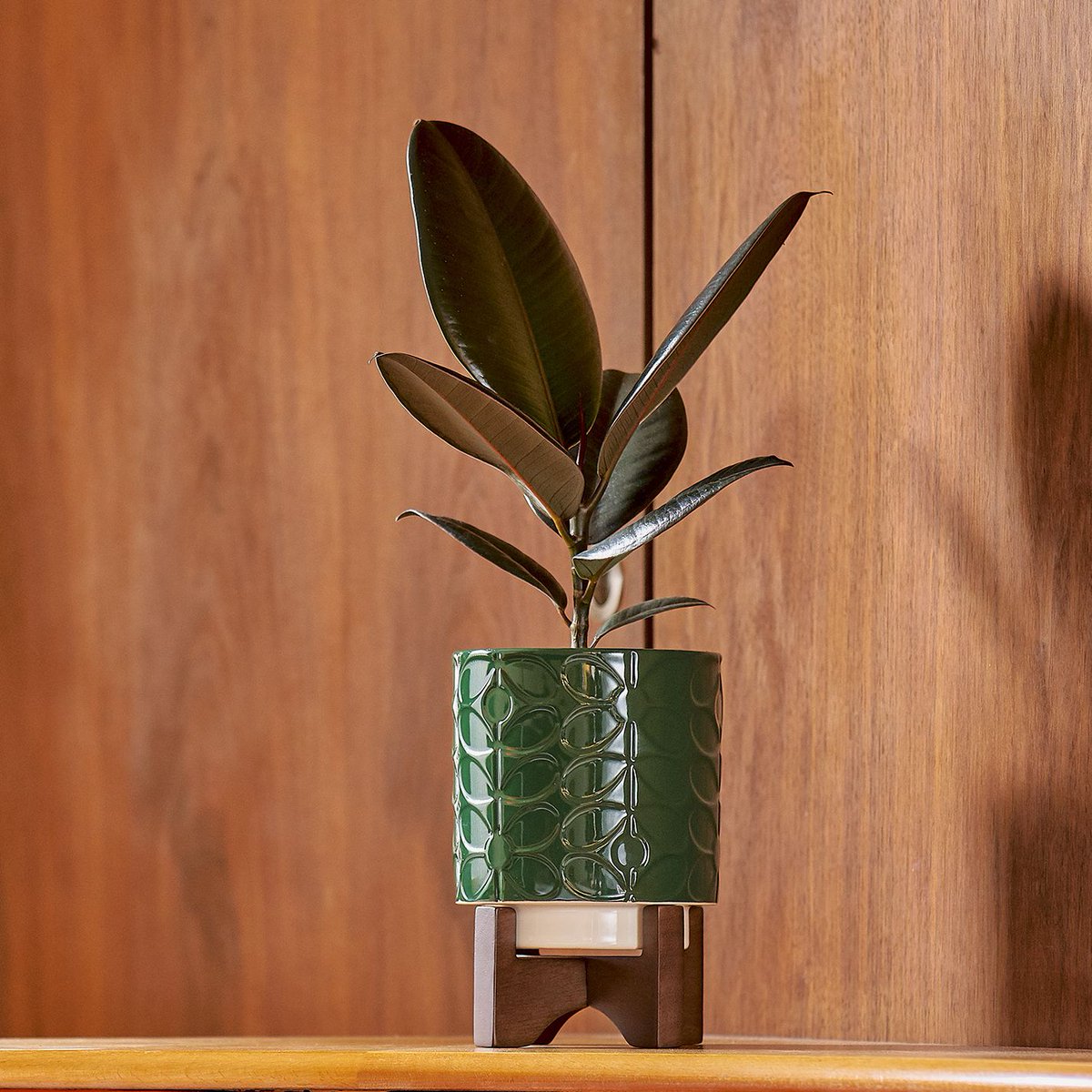 Wild & Wolf tweet media