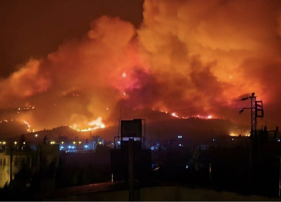 Bi üniversite okuduk be kardeşim çok bişey istemedik deprem oldu korona çıktı iskenderun da yanıyor bi sal bizi be