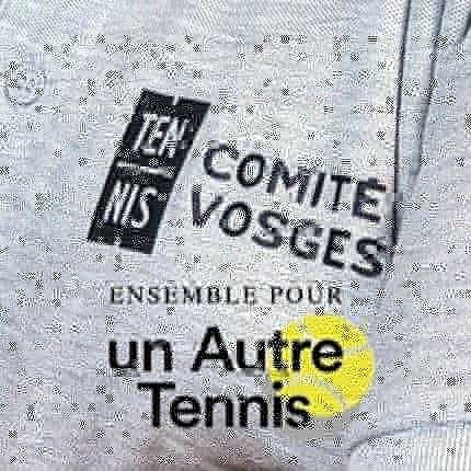 OLLINGERLionel's tweet image. Bravo Hervé Buffe, réélu aujourd’hui à l'unanimité, Président du CD de Tennis des Vosges et Délégué "Ensemble pour un autre Tennis" à l'AG de la FFT 👏
Une AG disruptive et drôle à  l'image d'Hervé avec un quorum à 84%, la communauté des clubs vosgiens toujours plus unie !