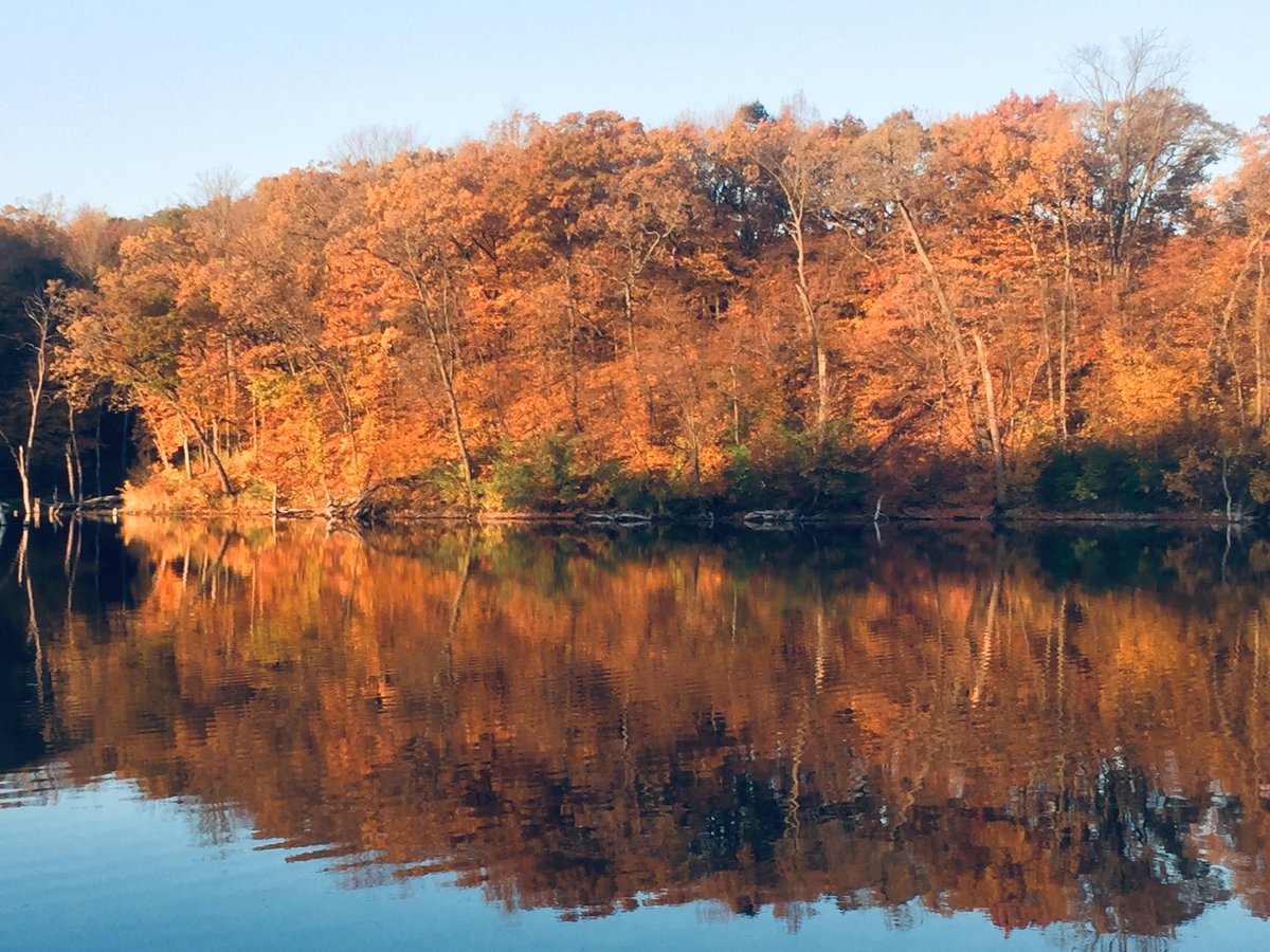 PBWeiss's tweet image. “Why me Lord what have I ever done to deserve even one of the pleasures I’ve known?” The lyrics popped into my head this morning at Chester Woods