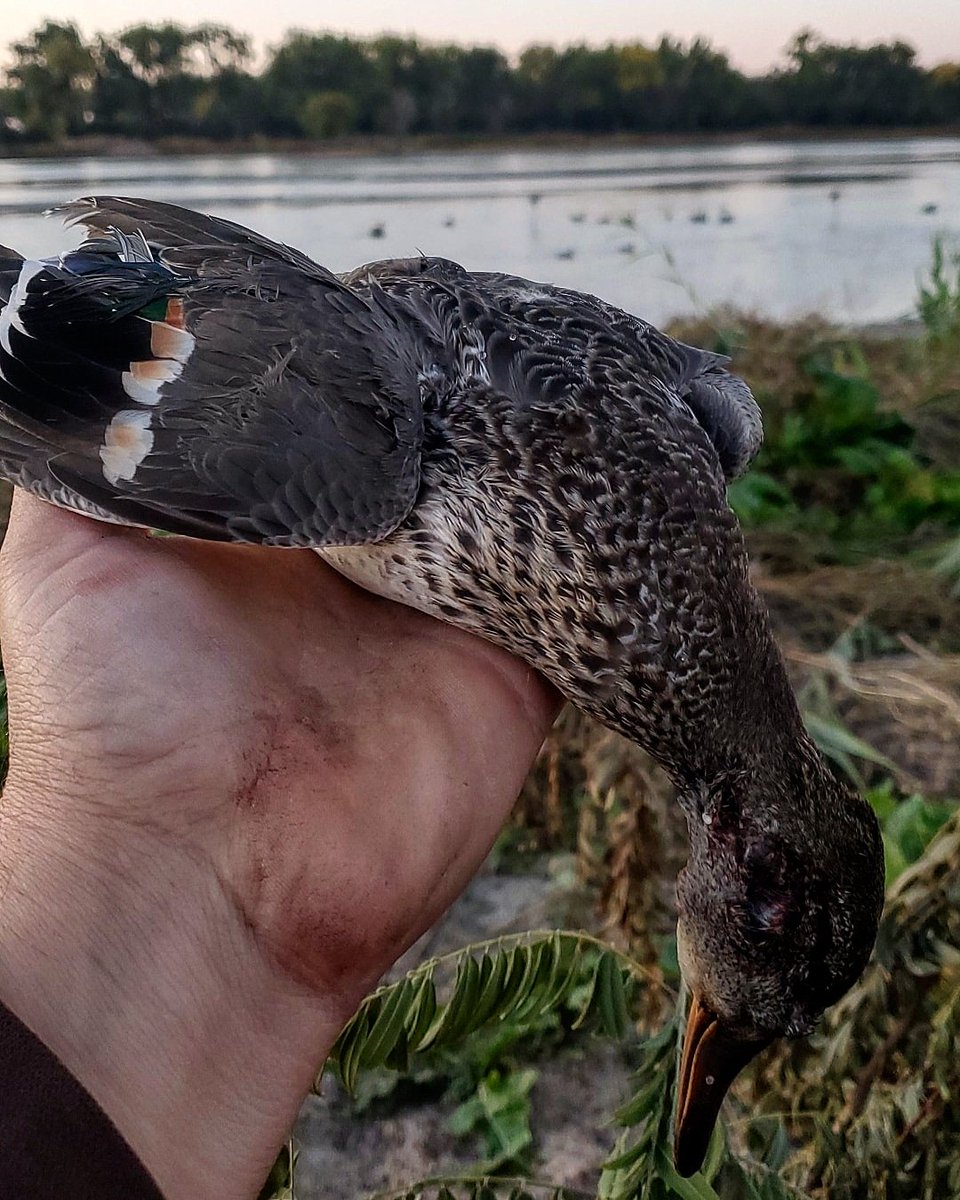 Flat River Outdoors tweet media