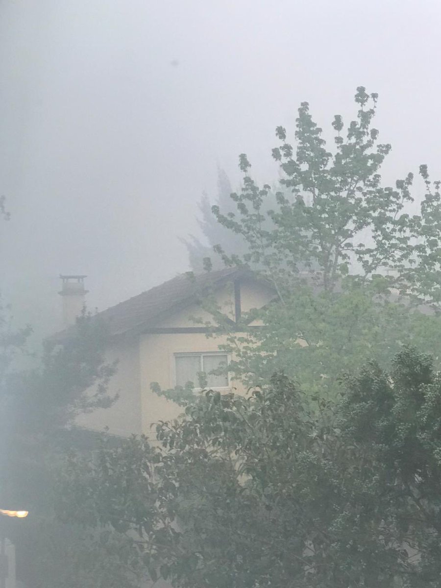 URGENTE : Incendios en <a href="/Escobar_Muni/">Municipio de Escobar</a> ???? SI !!!! Pero de productos tóxicos y Autorizado x la intendencia , no escuchan reclamos de vecinos , SR <a href="/ArielSujarchuk/">Ariel Sujarchuk</a> está contaminando a la gente #NoSePuedeRespirar <a href="/rolandogps/">Rolando Graña</a> <a href="/lajeantonio/">ᶠ ᵃ ⁿ De Antonio Laje</a> <a href="/barilirodolfo/">Rodolfo Barili</a> <a href="/edufeiok/">Eduardo Feinmann</a>