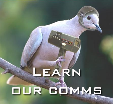 NarQieTweets's tweet image. #LearnOurComms