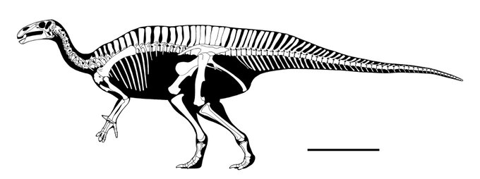 ทว ตยอดน ยมในらえらぷす ジュラルc 1 ว เคราะห ทว ตเตอร กราฟ ก Whotwi