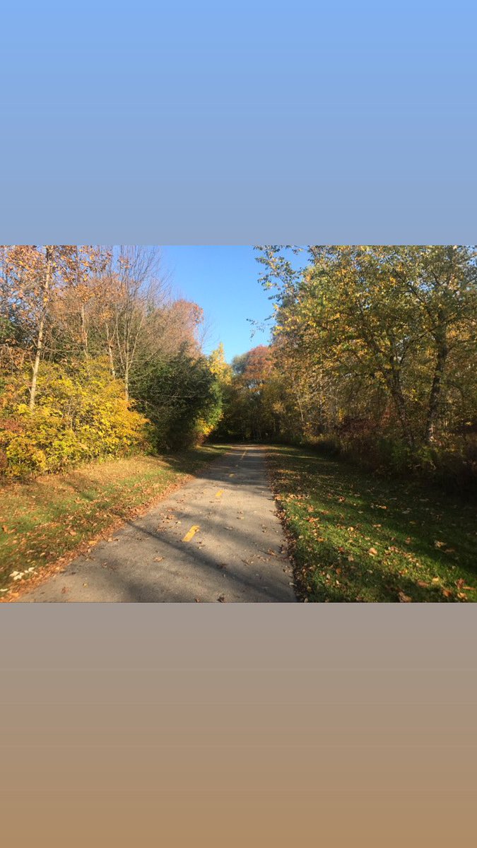 Abbey Frischmann tweet media