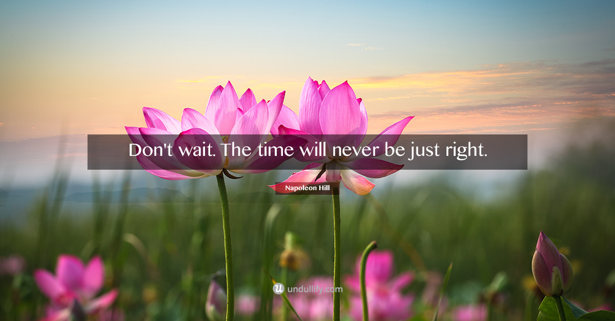 Undullify tweet media