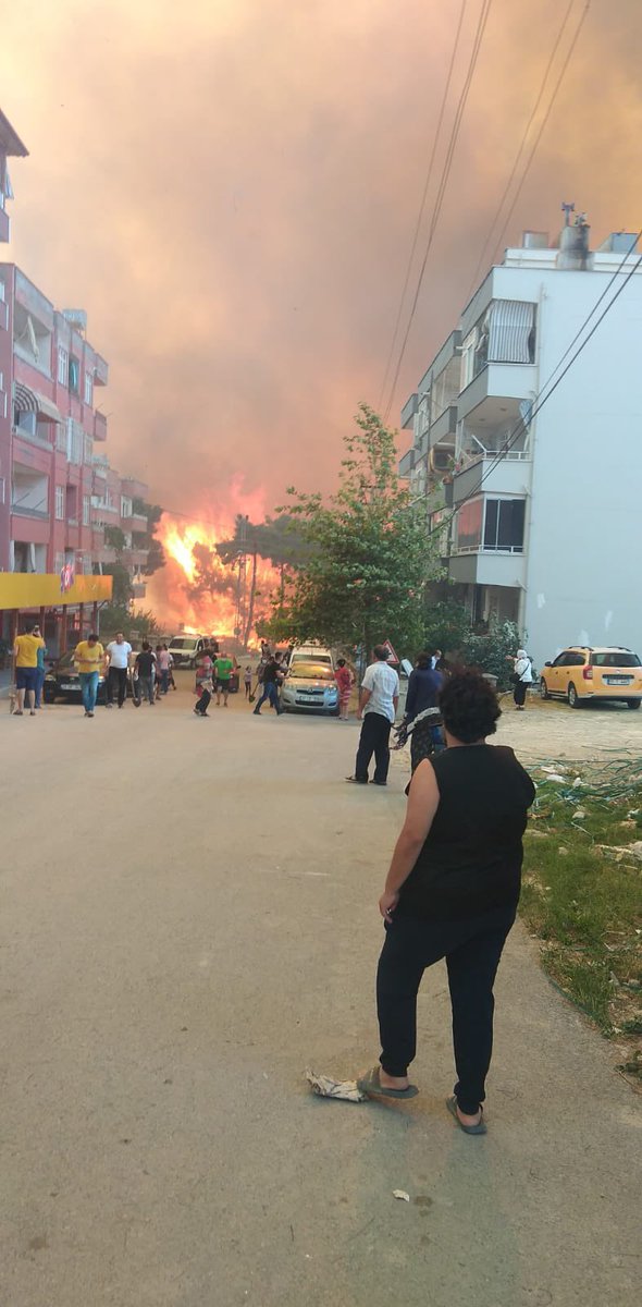 Haberlerde izlediğiniz,görünce sövüp kanal değiştirdiğiniz,her yaz çıkan orman yangınları gibi de değil.yanan bölgelerin tamamı orman da değil zaten,doğa katliamı olmasından farklı bir yangın bu.bilin istedim. #HatayYakılıyor #iskenderunyaniyor #hatayyaniyor #Hatayyangın #hatay